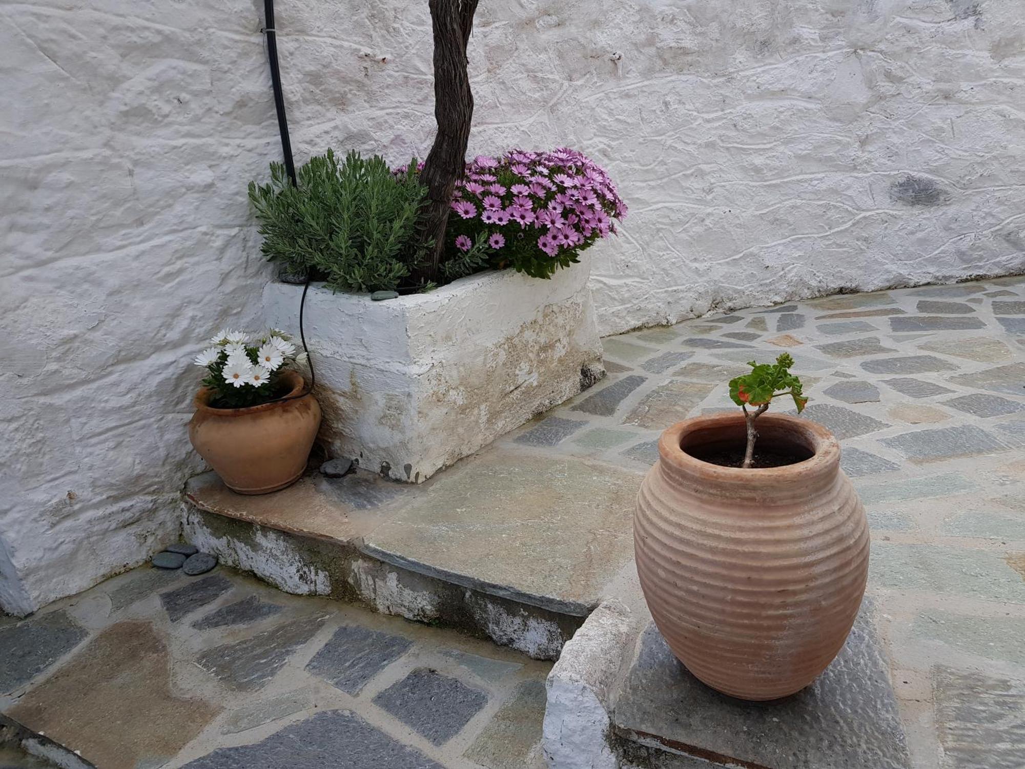 Lovely Traditionnal House With Sea View Tirós Esterno foto