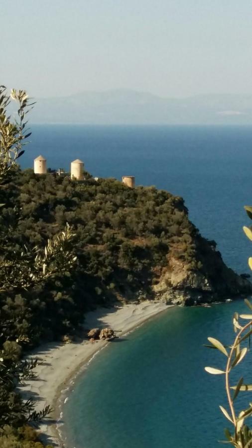 Lovely Traditionnal House With Sea View Tirós Esterno foto